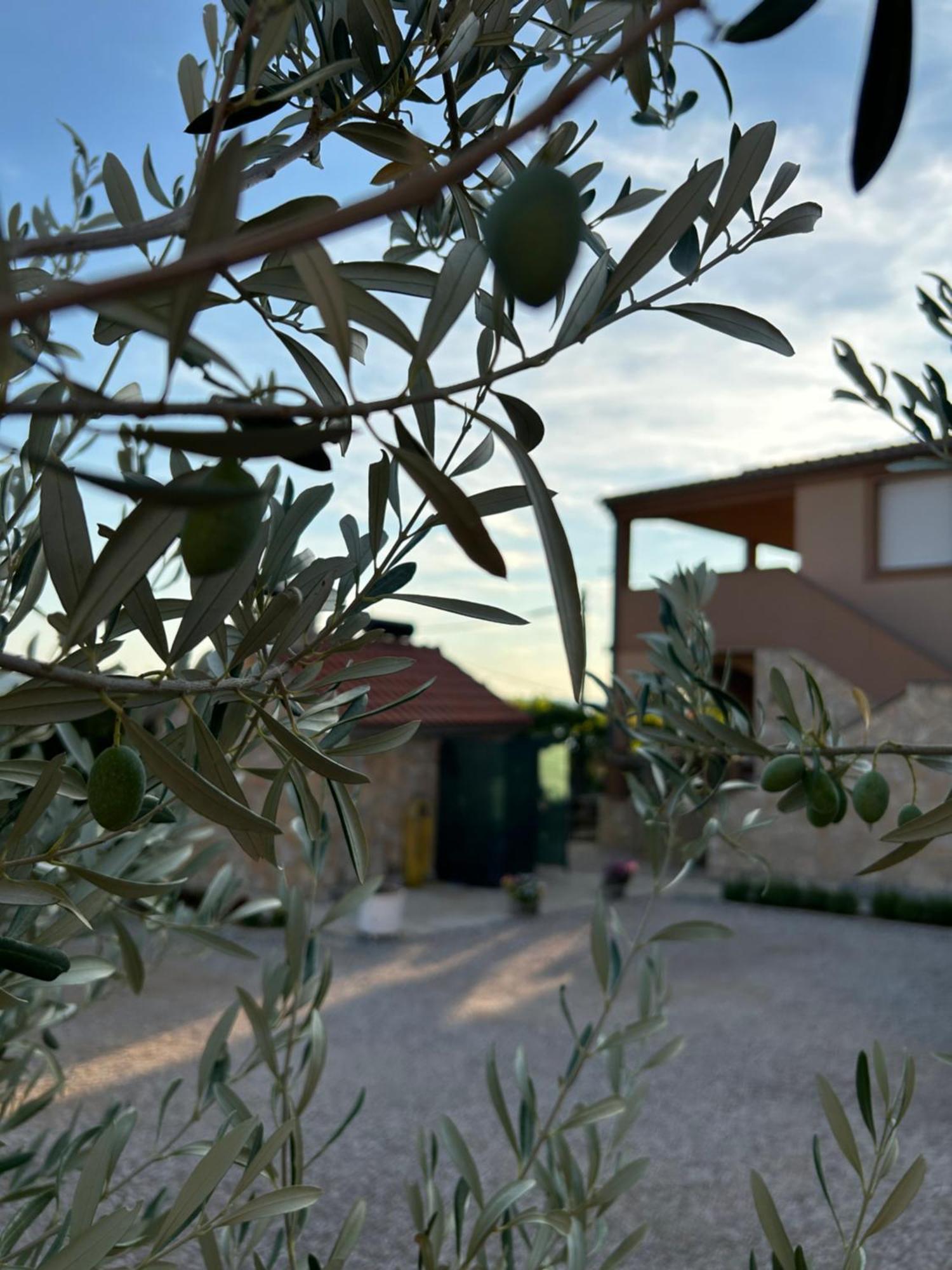 Danisacroatia Apartamento Maslenica Exterior foto